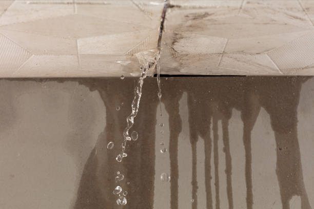 Professional Water Damage Repair technician working in Daisetta, TX